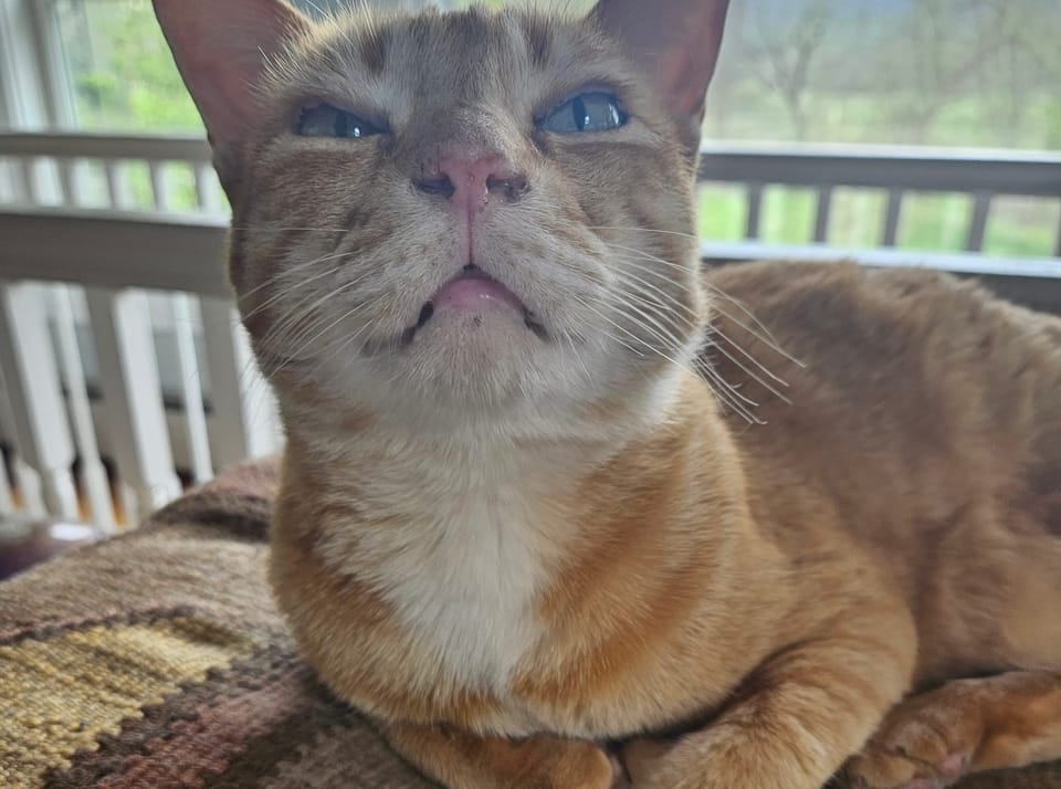 The Week Ahead April 12-18th