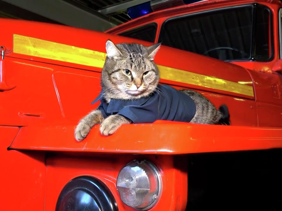 What's Inside Williamstown's New Firehouse — And Upcoming Costs